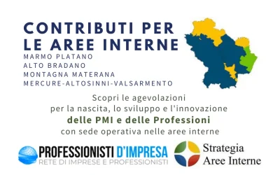 AREE INTERNE BASILICATA: CONTRIBUTI PER LE PMI E LE PROFESSIONI